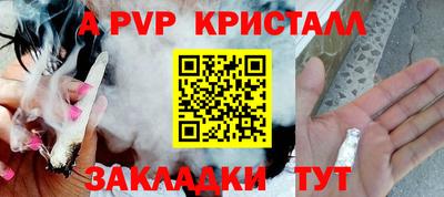 крисы Тверь
