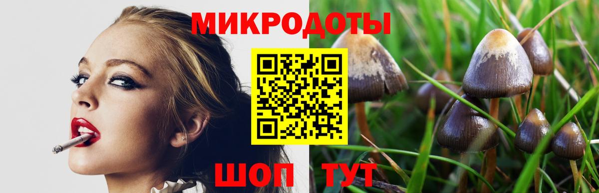 Галлюциногенные грибы Psilocybine cubensis  закладки  Вход с VPN  Кулебаки  Галлюциногенные грибы прущие грибы 